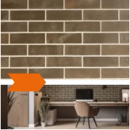 Płytki elewacyjne Brickoflex: TERANO